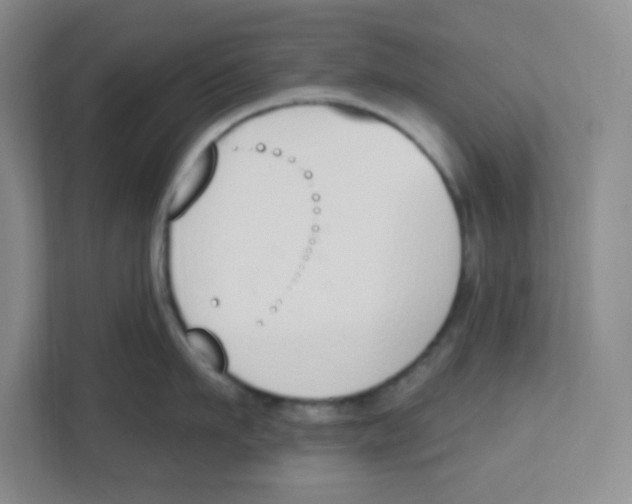 X0000112500911200909141221