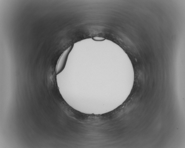 X0000112500914200909141221