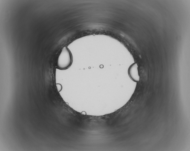 X0000112500918200909141221