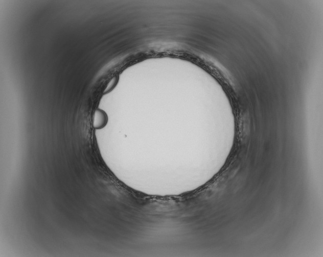 X0000112500919200909141221