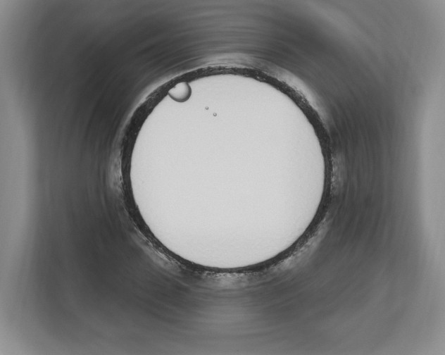 X0000112500923200909141221