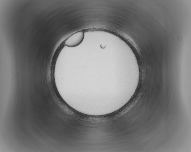 X0000112500928200909141221