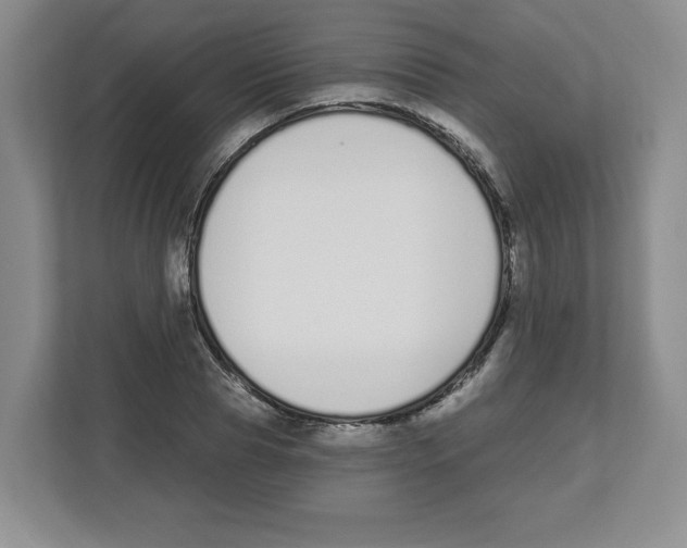 X0000112500929200909141221