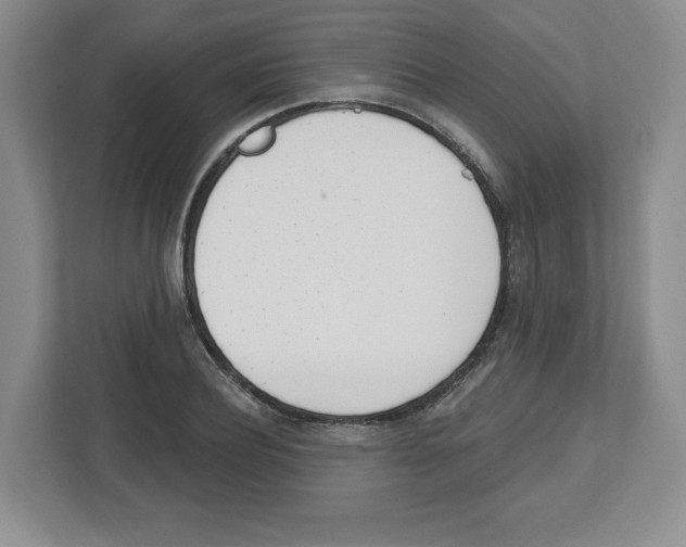 X0000112500932200909141221