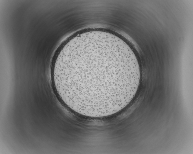 X0000112500935200909141221