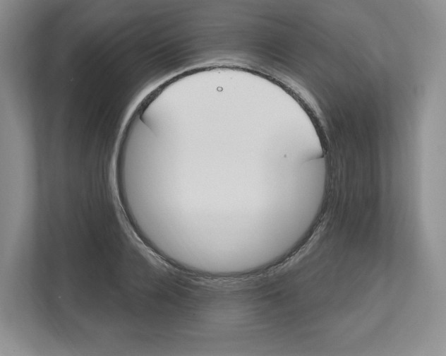 X0000112500936200909141221