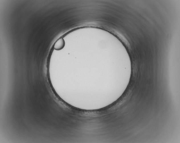 X0000112500944200909141221