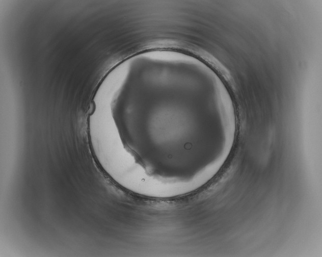 X0000112500945200909141221