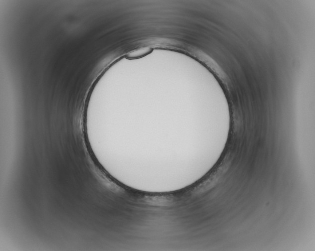 X0000112500946200909141221