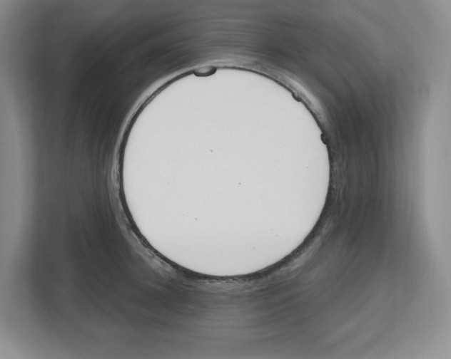 X0000112500948200909141221