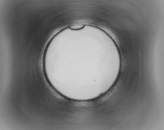 X0000112500949200909141221