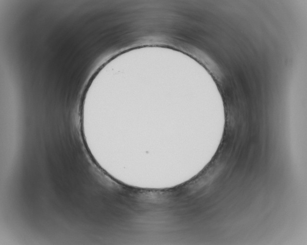 X0000112500950200909141221