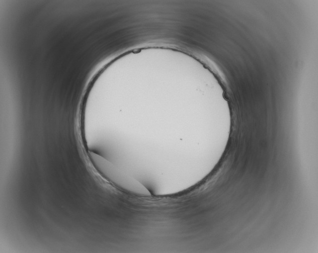 X0000112500952200909141221