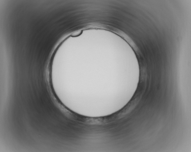 X0000112500955200909141221