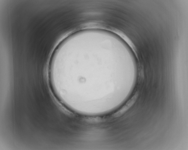 X0000112500957200909141221