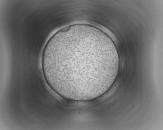 X0000112500958200909141221