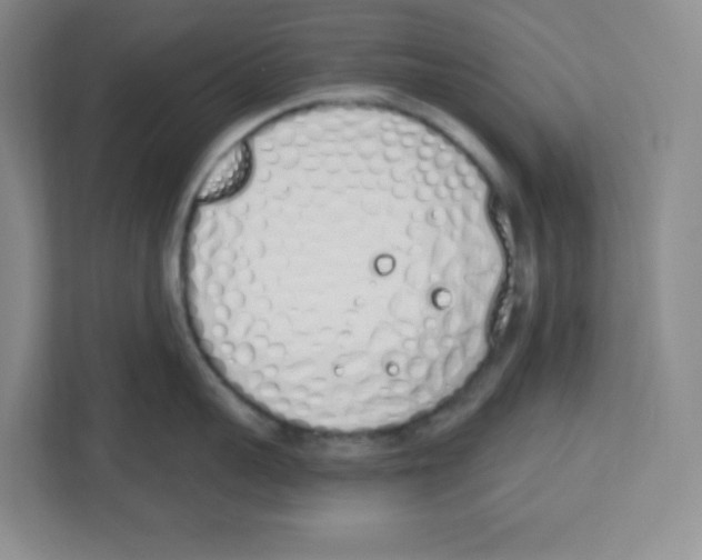 X0000112500959200909141221