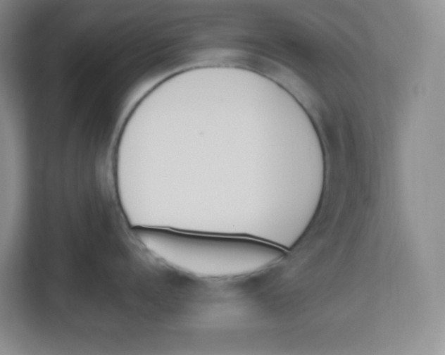 X0000112500960200909141221