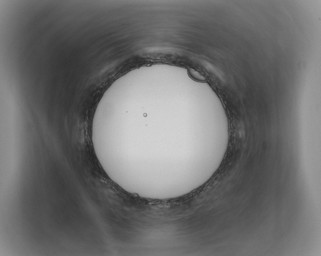 X0000112500965200909141221