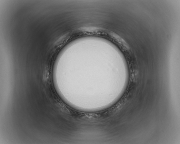 X0000112500966200909141221