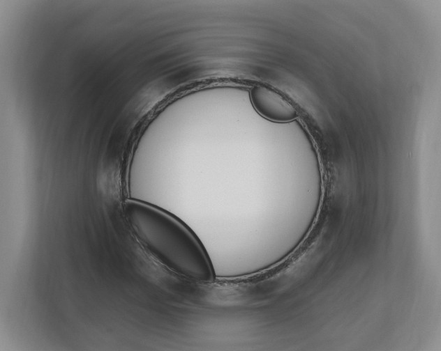 X0000112500969200909141221