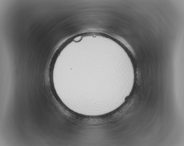 X0000112500972200909141221