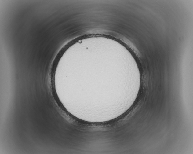 X0000112500976200909141221