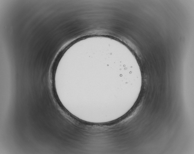 X0000112500981200909141221