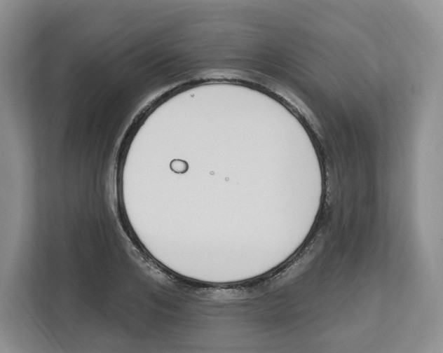 X0000112500984200909141220