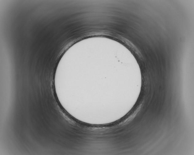 X0000112500985200909141220