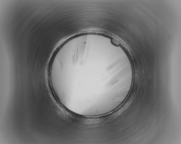 X0000112500989200909141220