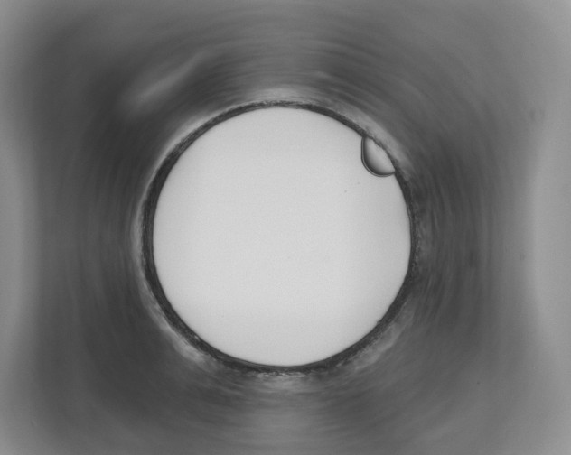 X0000112500991200909141220