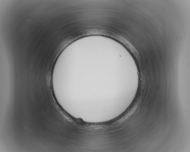 X0000112500993200909141220