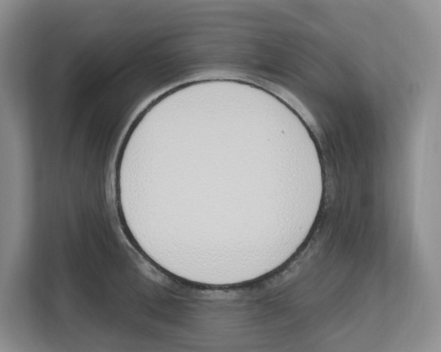 X0000112500996200909141220