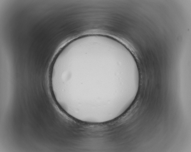 X0000112500998200909141220