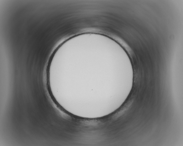 X0000112500999200909141220