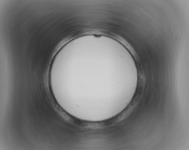 X0000112501002200909141220