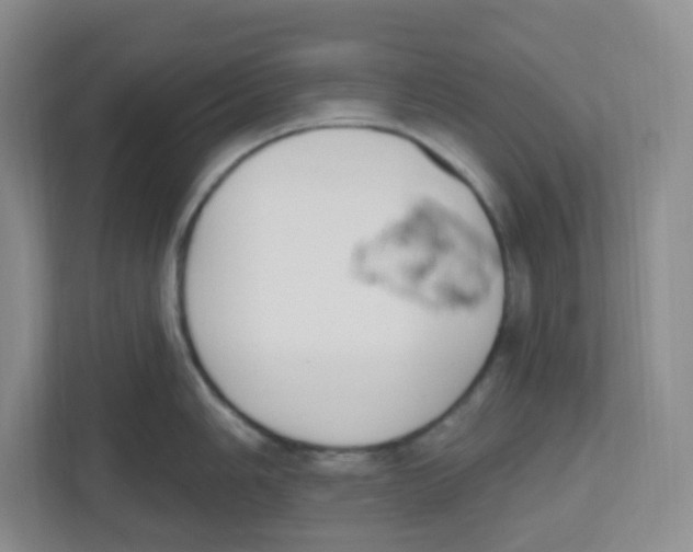 X0000112501006200909141220