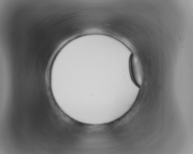 X0000112501008200909141220