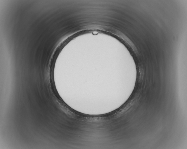 X0000112501020200909141220