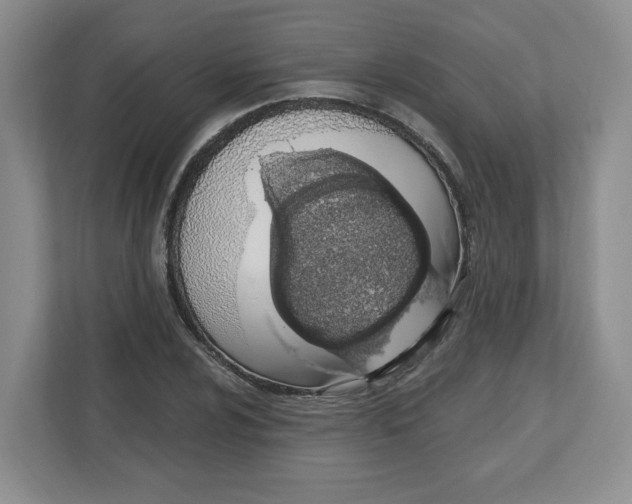 X0000112501024200909141220