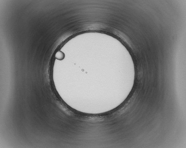 X0000112501026200909141220