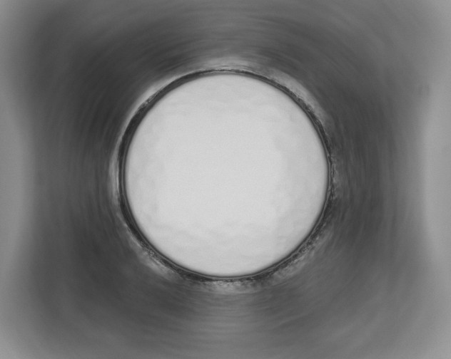 X0000112501032200909141220