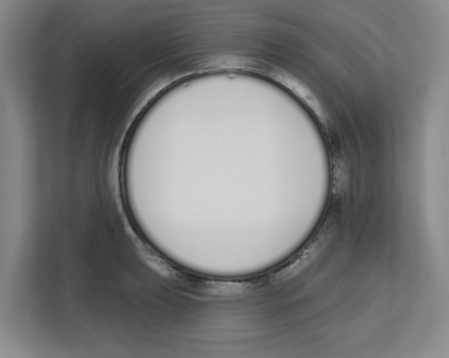 X0000112501039200909141220