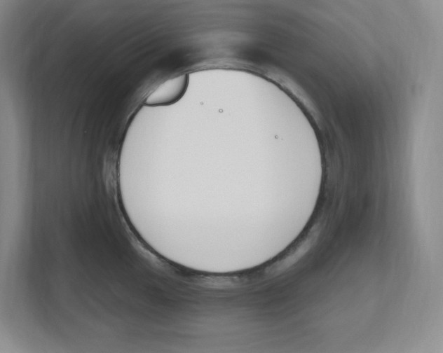 X0000112501049200909141220