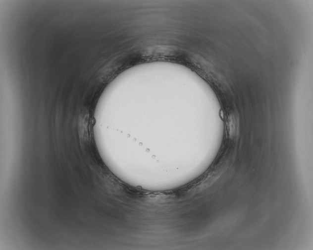 X0000112501059200909141220