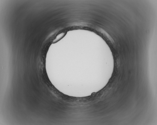 X0000112501064200909141219