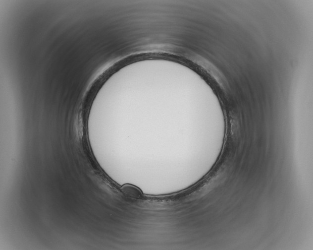 X0000112501069200909141219