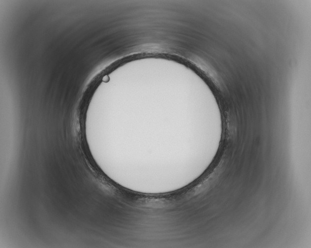 X0000112501070200909141219