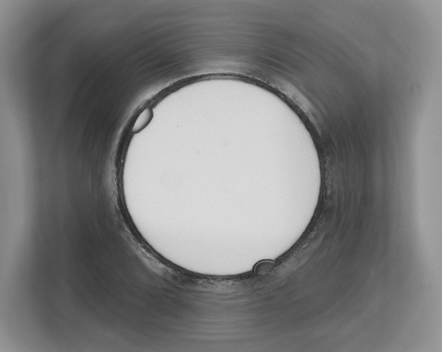 X0000112501072200909141219